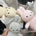 송혜정